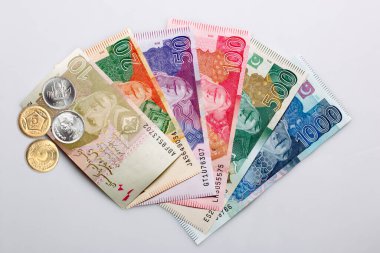 Beyaz arkaplanda Pakistan Para Birimi