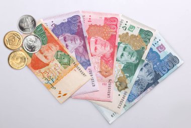 Beyaz arkaplanda Pakistan Para Birimi