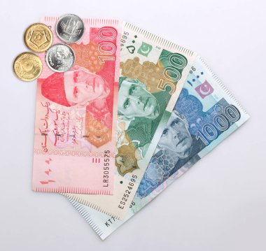 Beyaz arkaplanda Pakistan Para Birimi