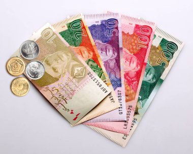 Beyaz arkaplanda Pakistan Para Birimi