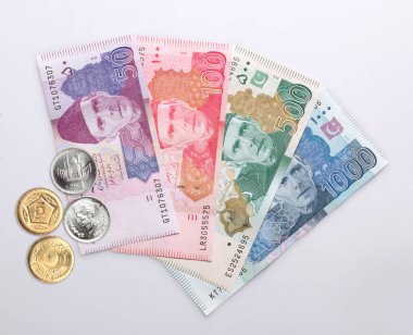 Beyaz arkaplanda Pakistan Para Birimi