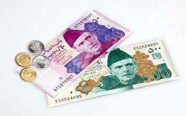 Beyaz arkaplanda Pakistan Para Birimi