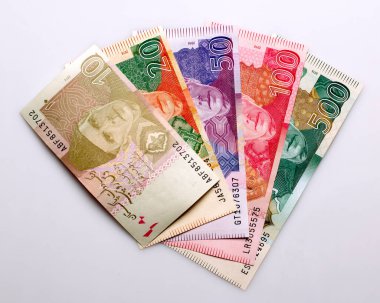 Beyaz arkaplanda Pakistan Para Birimi