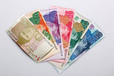 Beyaz arkaplanda Pakistan Para Birimi