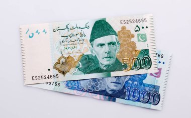 Beyaz arkaplanda Pakistan Para Birimi