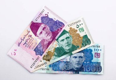 Beyaz arkaplanda Pakistan Para Birimi
