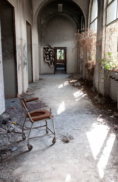 A wheelchair in the hall of an abandoned, overgrown building