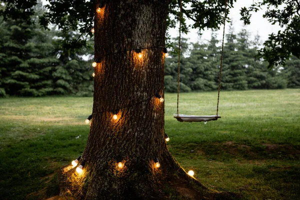 Touw Schommel Opknoping Een Grote Boom Met Gloeiende Lichten Zomer — Stockfoto