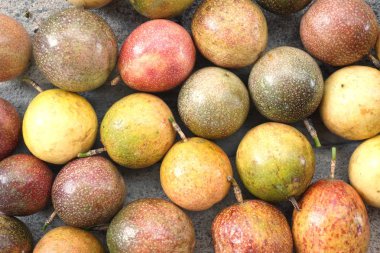 tropikal taze tutku meyve için kullanılan arka plan rengini