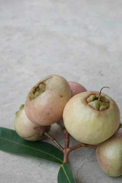 Syzygium Jambos Ist Eine Andere Art Von Rosenapfel Thailand — Stockfoto