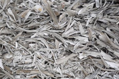 Soyut yerde kullanılan arka plan için ahşap kül