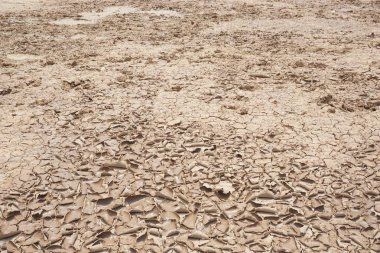 Soyut kuru toprak doku için kullanılan arka plan