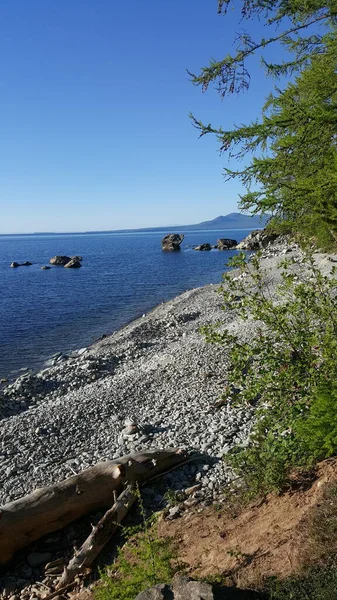 Stone Turtle Jeziorze Baikal — Zdjęcie stockowe