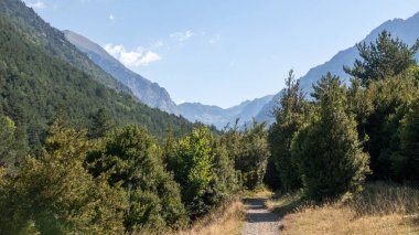 Dağın tepesinden manzara