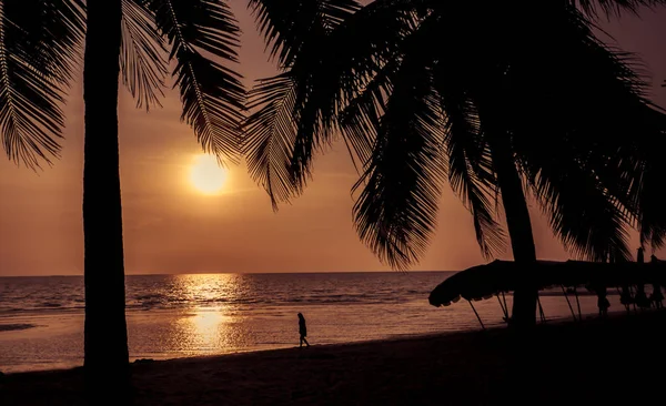 Silhouette Der Kokospalme Strand — Stockfoto