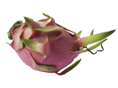 Beyaz arkaplanda Ejder Meyvesi izole