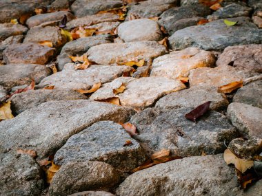 Yaya geçitlerinde kurumuş yapraklar var.