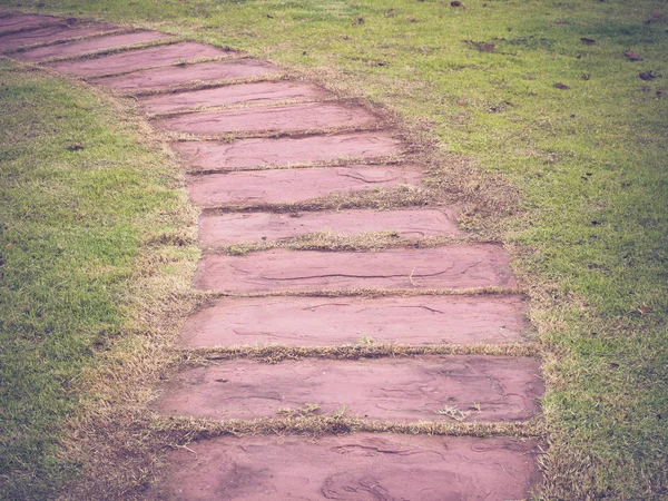 Pathway Garden Green Lawns Pathways — Stock Photo, Image