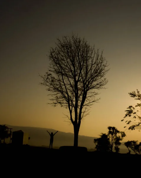 Silueta Árbol Viejo Del Paisaje Amanecer — Foto de Stock