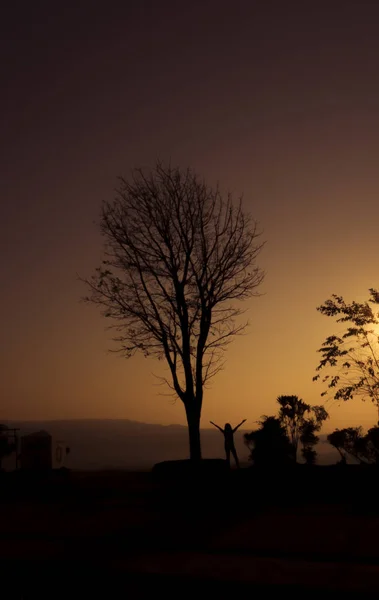 Силуэт Старого Дерева Пейзажа Восходе Солнца — стоковое фото