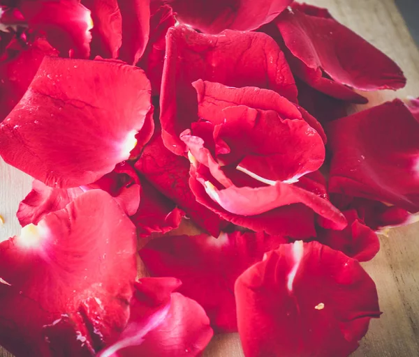 Sfondo di petali di rosa rossa — Foto Stock