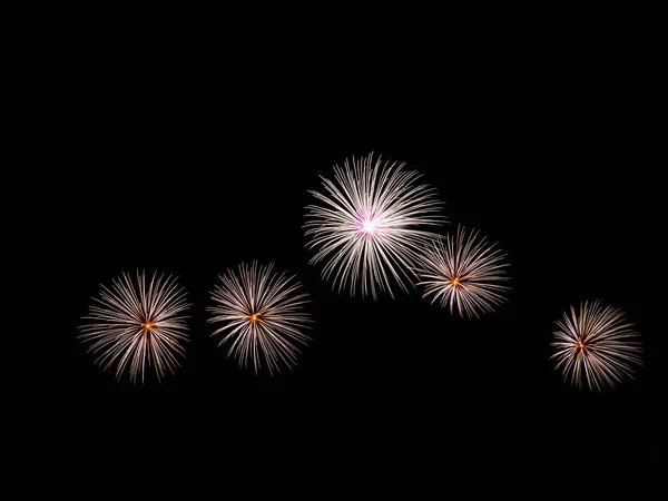 Vuurwerk in donkere hemel — Stockfoto