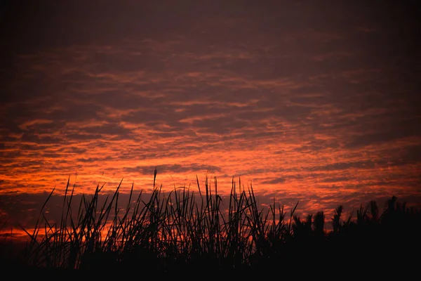 Farbenfroher Sonnenuntergang — Stockfoto