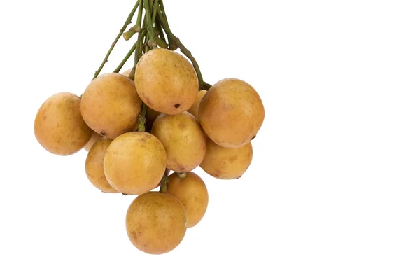 Uva Birmana Mafai Tailandés Fruta Agridulce Nombre Científico Baccaurea Ramiflora — Foto de Stock