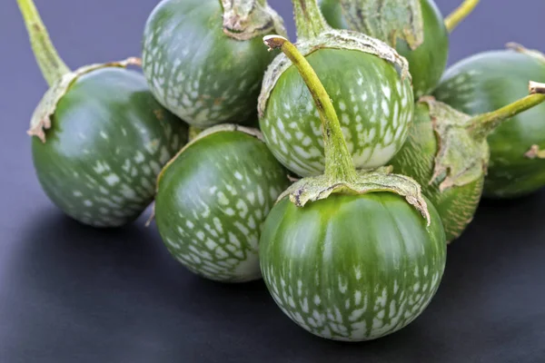Thailändsk aubergine - scintific namn är (Solanum virginianum L.) — Stockfoto