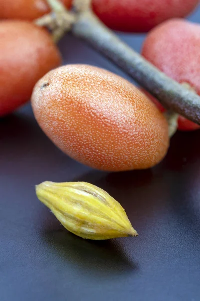 Thailändska vilda oliv utsäde, vetenskapliga namn är (Elaeagnus latifolia Li — Stockfoto