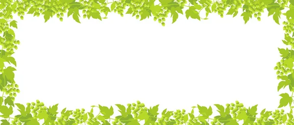 Άλμα πλαίσιο φυτό ορθογώνιο πανό. Το πλαίσιο περιγράμματος απομονώθηκε διαφανές φόντο. Πράσινα φύλλα και κώνους. Διάνυσμα επίπεδη εικονογράφηση για κατάστημα μπύρας ή διαφήμιση καφέ. — Διανυσματικό Αρχείο