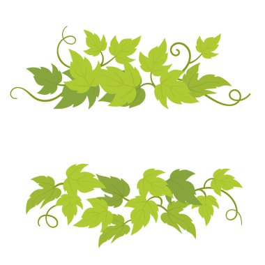 Grape plant decorative elements. Grapevines green curly leaves decor. Vector flat Illustration. Isolated transparent background template. clipart