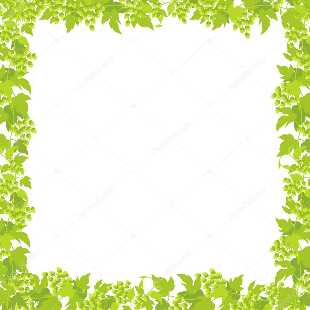 Hop plant frame square banner. Place for text. Border frame isolated background template. Hop green leaves and cones. Lupulus humulus. Vector flat Illustration for beer shop or cafe advertising.