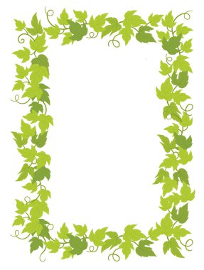 Grapevines bitki çerçevesi a4 levha şarap listesi. Dikdörtgen kenarlık üzüm çerçevesi. Metin adı veya logosu için uzay yeri. Vektör düz Illustration. Yeşil yaprakları. Boşluk Kopyala.
