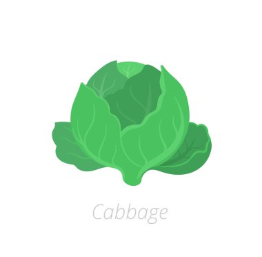 Başlı lahana. Lahana bitkileri. Yeşil büyüme topla. Brassica oleracea. Tarım yetiştirilmiş bitki. Yeşil yaprakları. Düz vektör renk Illustration clipart.