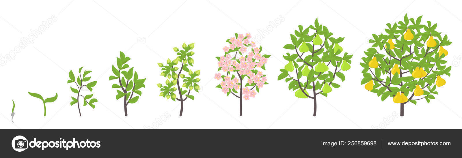 甘い人生のベクトル図ストックベクター ロイヤリティフリー甘い人生のベクトル図イラスト Depositphotos