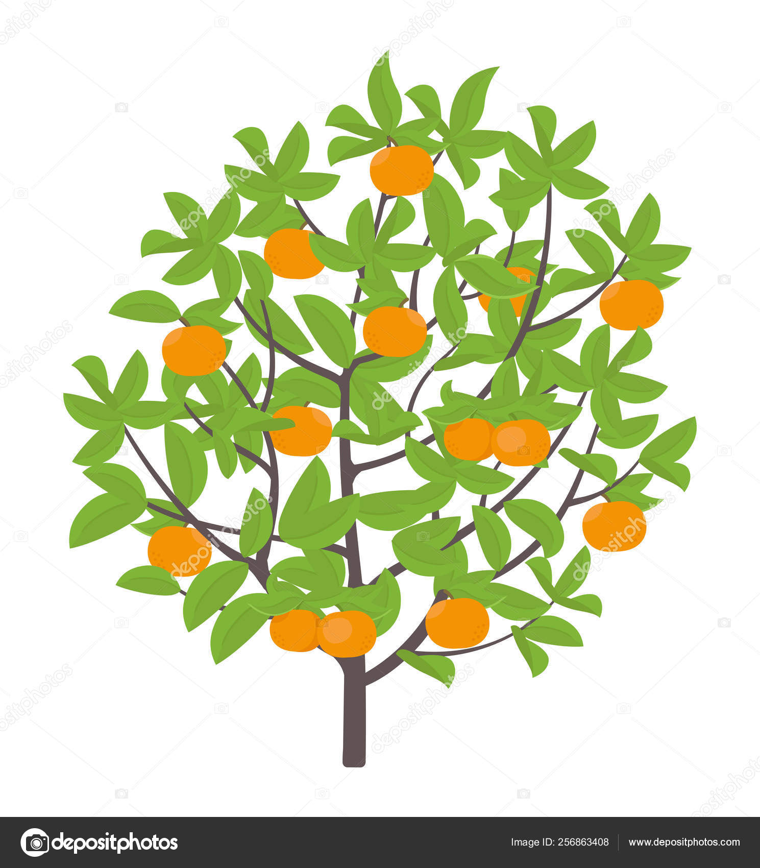 Clipart Orange Tree Mandarin Tree Vector Illustration Ripe Fruit Orange Mandarin Plant Flat Vector Color Illustration Clipart Stock Vector C Ilyakalinin