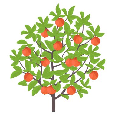 Elma ağacı. Vektör Illustration. Meyve ağacı bitki. Düz vektör renk Illustration clipart. Bir ağaçta Olgun kırmızı elma.