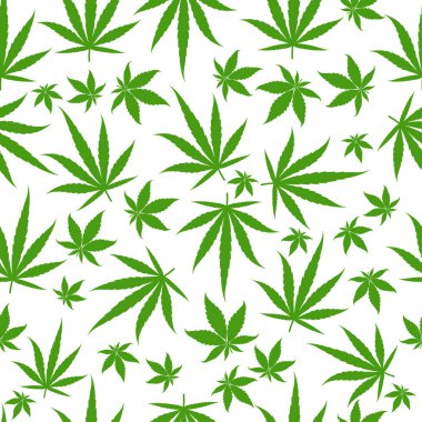 Beyaz bir arka plan üzerinde marihuana yeşil yaprakları. Rasta sorunsuz desen. Esrar kenevir şablonu doldurun. Vektör düz kare clipart.