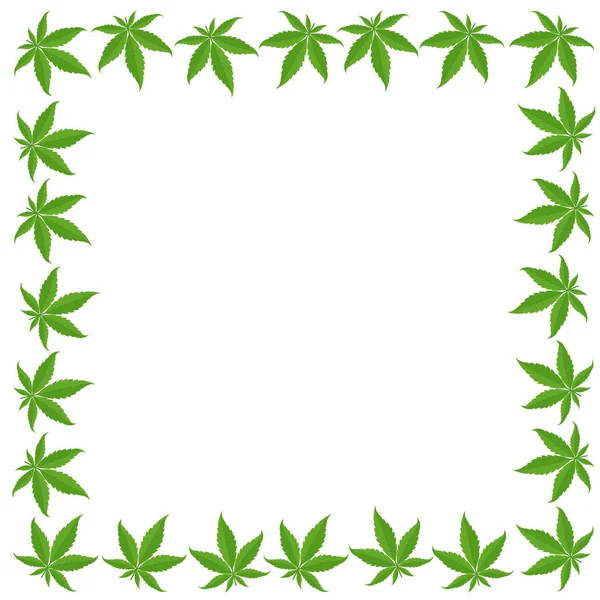 Marijuana green grass frame banner. Cannabis indica hemp plant. Border frame isolated transparent background. Copy space for text place. — Stock Vector