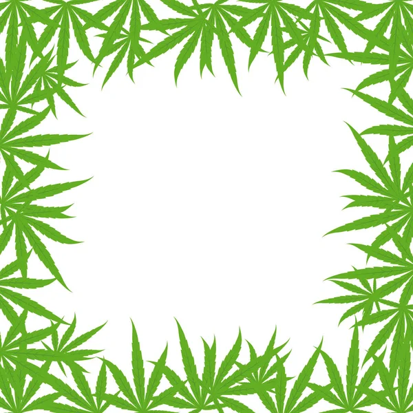 Marijuana green grass square frame banner. Cannabis hemp plant. Border frame isolated transparent background. Copy space for text place. — Stock Vector