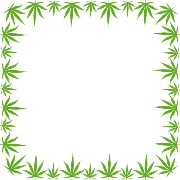 Marijuana green grass frame banner. Cannabis hemp plant. Border frame isolated transparent background. Copy space for text place. — Stock Vector