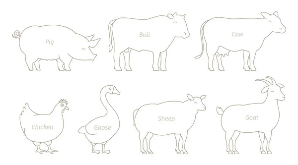 Boerderij dieren lijn set. Veehouderij productie. Koe en stier, eend en kip. Schapen geit en varken. Omtrek contourlijn vector illustratie. — Stockvector