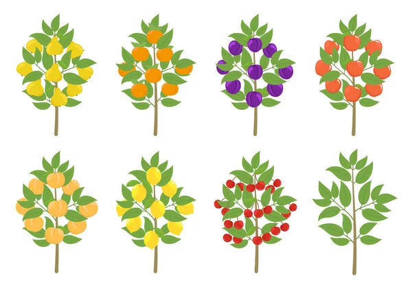 Το σύνολο των οπωροφόρων δέντρων. Μήλο, ροδάκινο και μανταρίνι με λεμόνι. Απεικόνιση διανύσματος. Οπωροφόρα δένδρα συγκομιδή φυτών. — Διανυσματικό Αρχείο