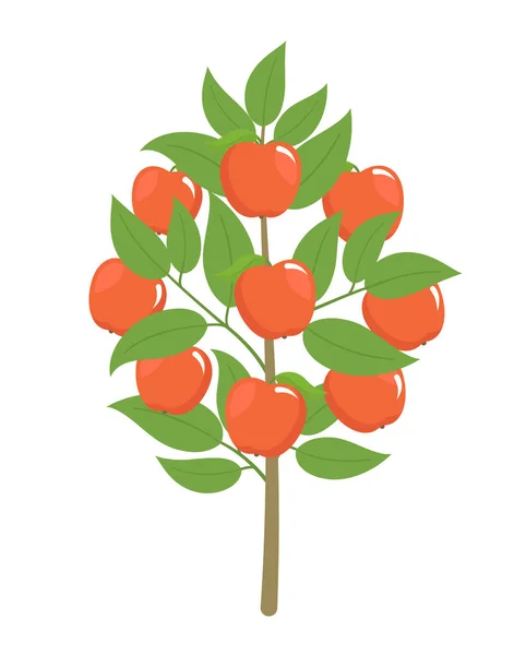 Apple Tree. Vector illustratie. Fruit boom plant. Platte vector kleur clipart. Rijpe rode appels op een boom. — Stockvector