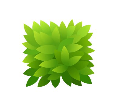 Yeşil yaprakyaprakçalı. Yatay dikdörtgen kısa afiş. Yeşil yaprakları doku. Kalın çalılıklar çalılar. İlkbahar ve yaz tasarımı için.