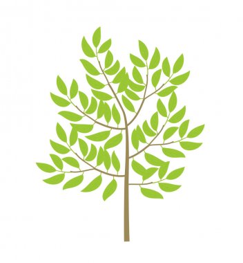 Sıradan bir ağaç. Küçük ince ağaç bitkisi. Yeşil yapraklar ve dallar. Düz vektör rengi İllüstrasyon clipart.