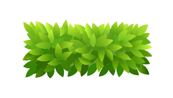 Arbusto de folhagem de folhas verdes. Banner curto retangular horizontal. Textura de folhas verdes. Arbustos grossos de moitas. Para design de primavera e verão . — Vetor de Stock