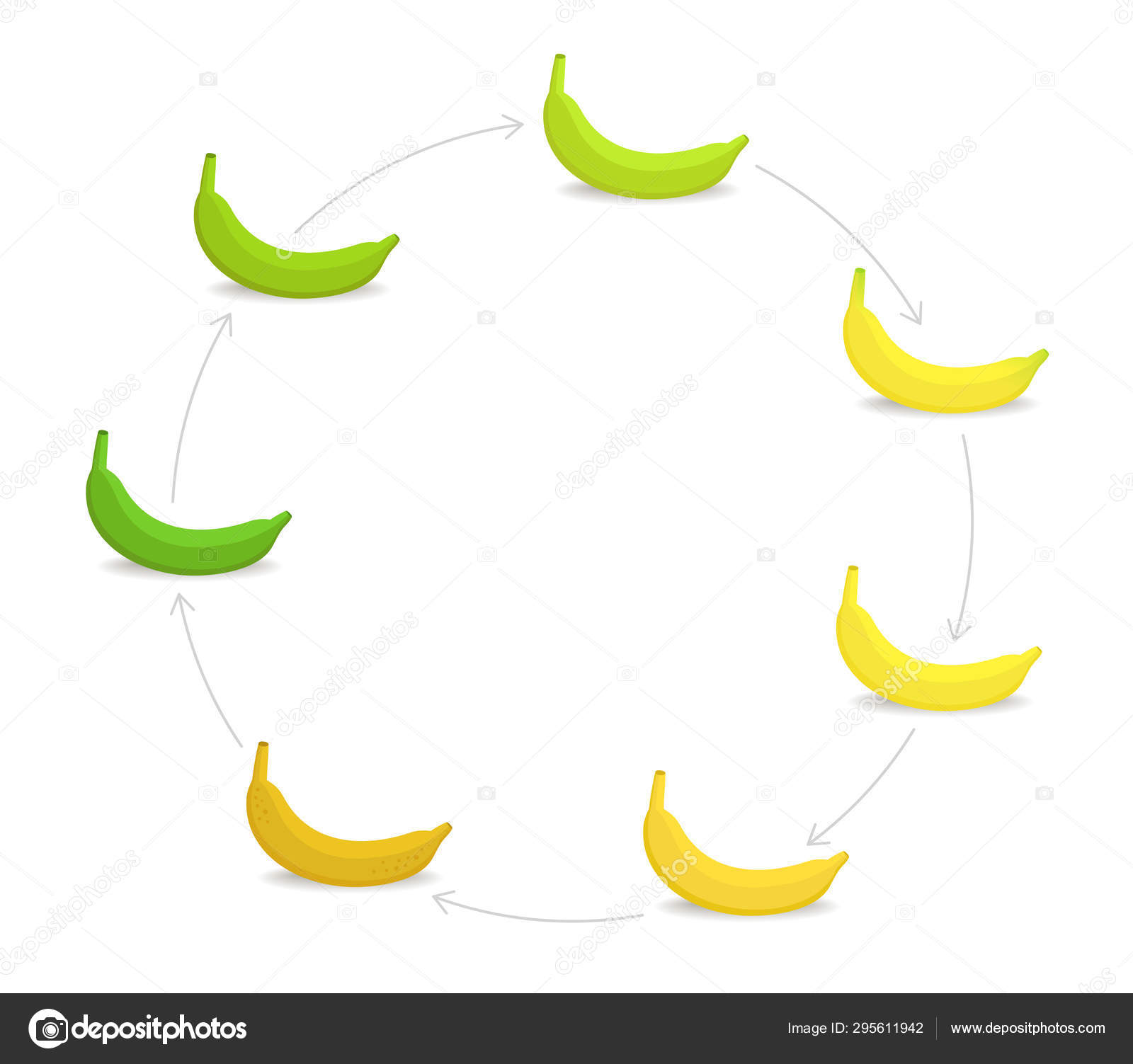 Banana Stages Chart