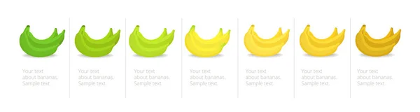 Банановые спелые стадии инфографической диаграммы. Куча бананов цветовой градации. Созревающие бананы. От зеленого до желтого и коричневого. Прогрессия анимационного периода . — стоковый вектор